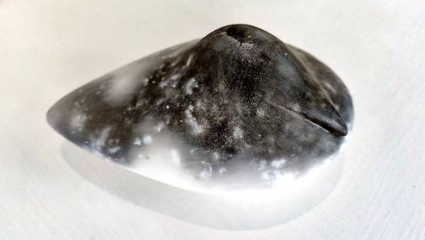 - a , Ceramic Sculpture by Linda Warrick, measuring 5 x 16 cm (H x W) £110
